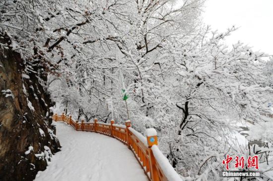 图为上山的石阶被雪覆盖。张天宝 摄 图为上山的石阶被雪覆盖。张天宝 摄