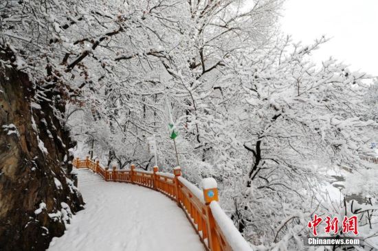 图为上山的石阶被雪覆盖。张天宝 摄