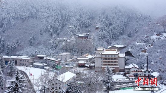 图为笼罩在雪下的世界。吴永 摄 图为笼罩在雪下的世界。吴永 摄