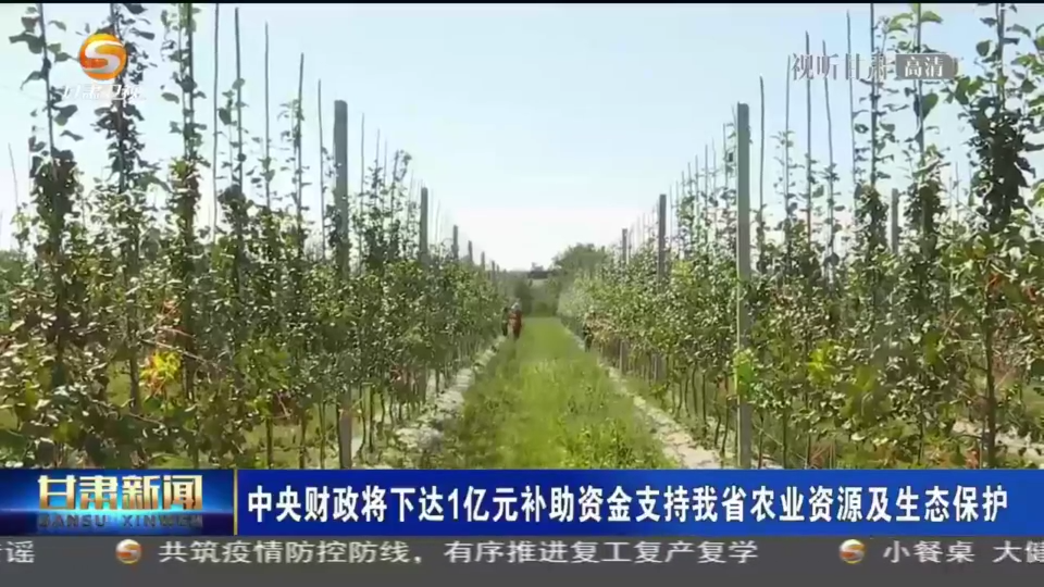 复制图片