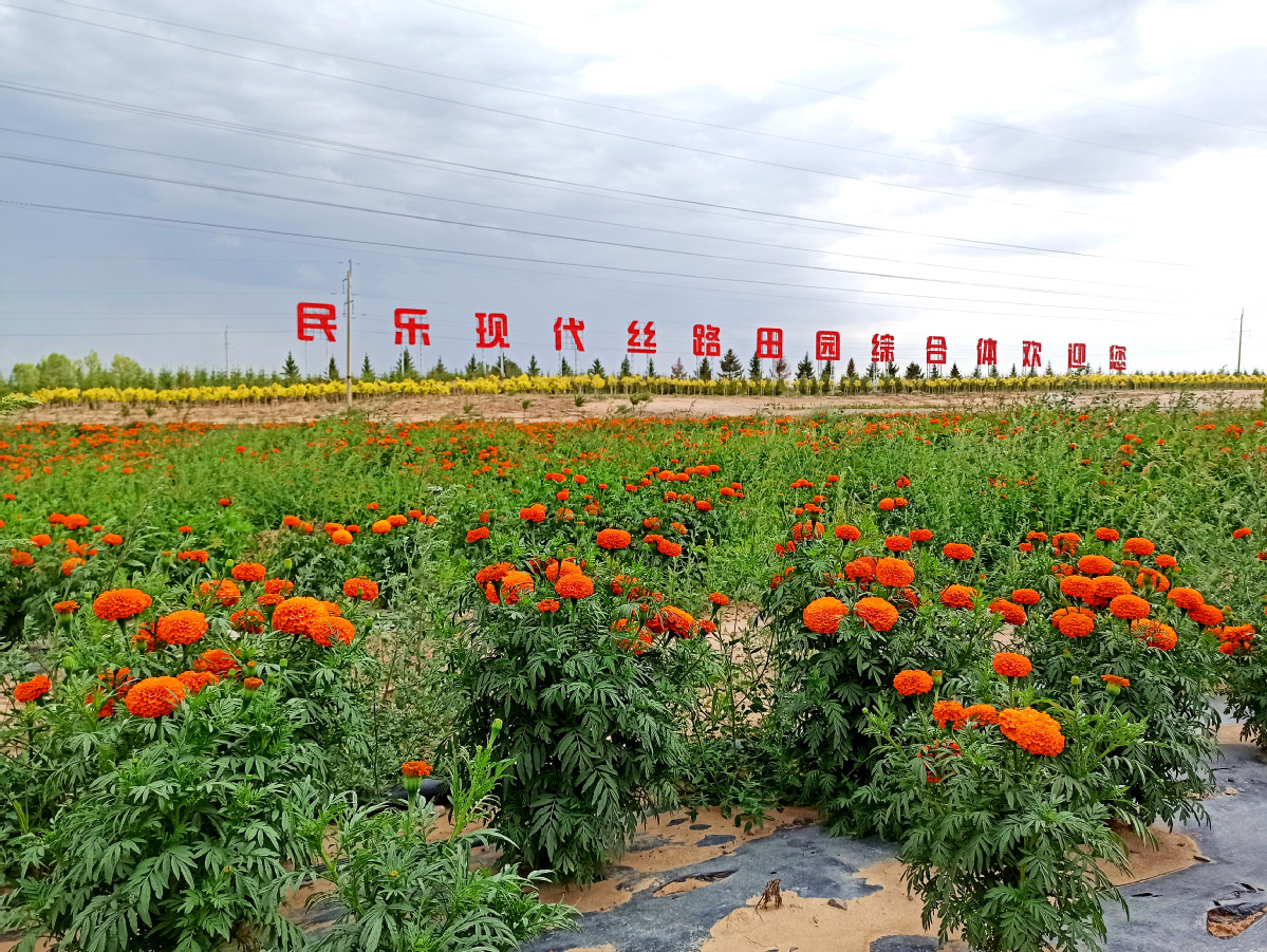 甘肃民乐：项目建设点燃高质量发展新引擎