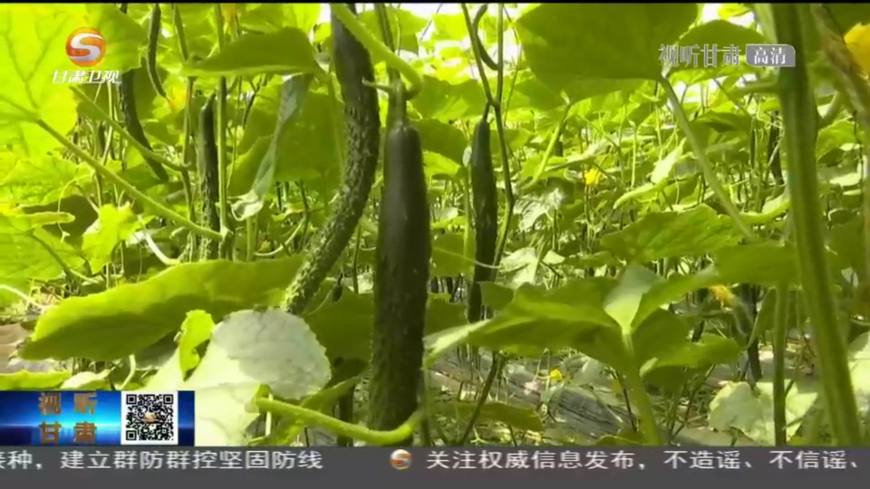 复制图片