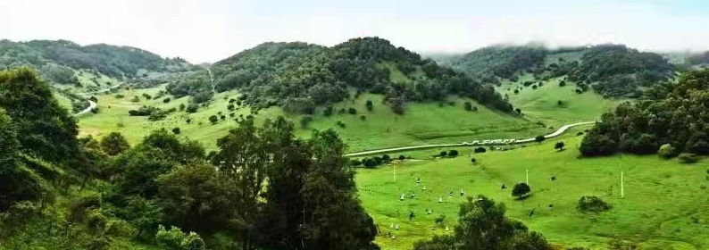 秦人发祥地，就在甘肃这个群山深处的小镇子