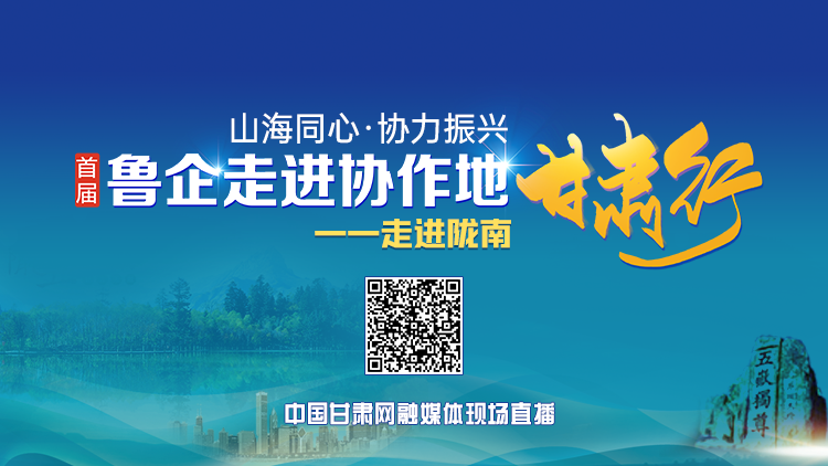 “山海同心·协力振兴——‘首届鲁企走进协作地·甘肃行’”主题考察采访活动走进陇南