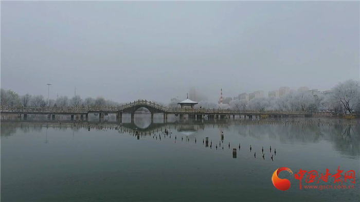 【陇拍客】寒冬美景 平凉华亭市现雾松景观