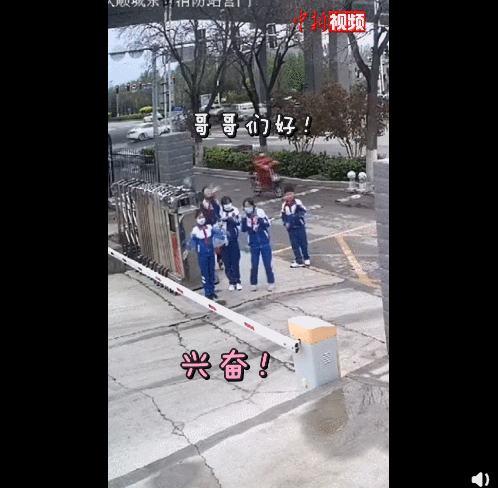 图片来源:中新视频截图 点击进入下一页