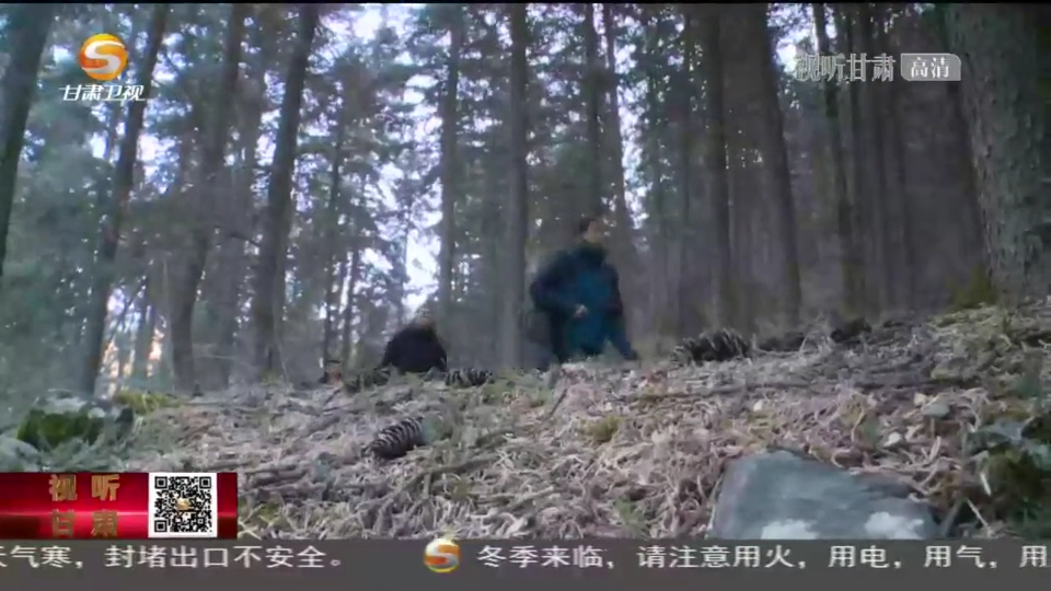复制图片
