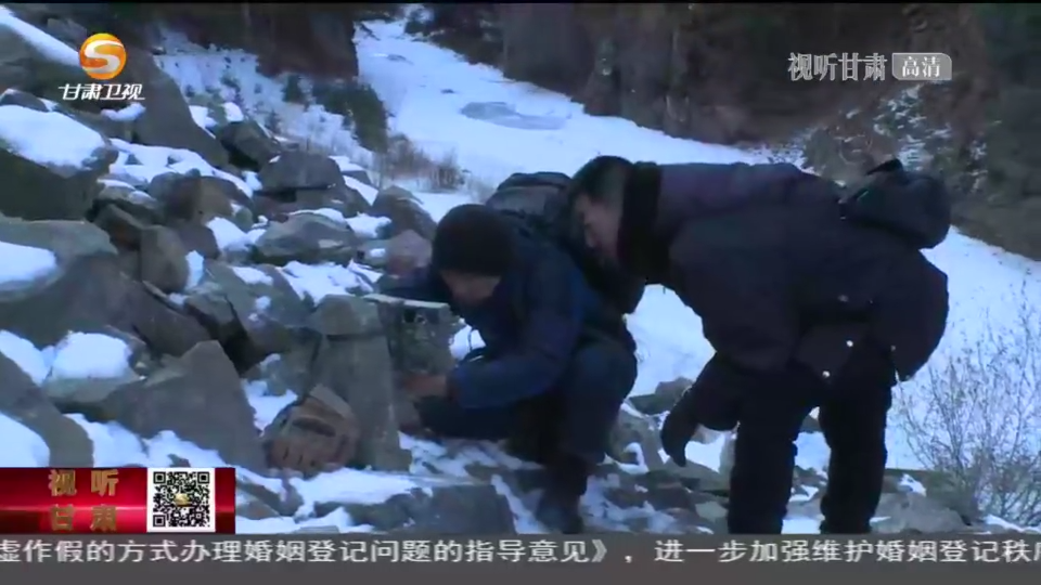 复制图片