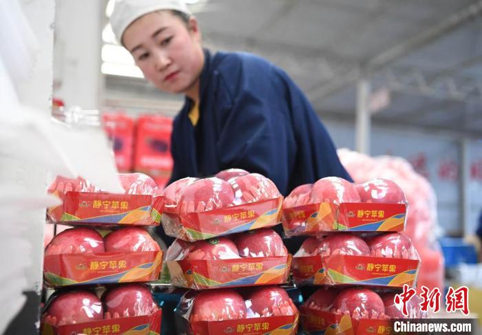 2020年10月，甘肃静宁县一企业工人对苹果进行精细化包装。(资料图) 杨艳敏 摄