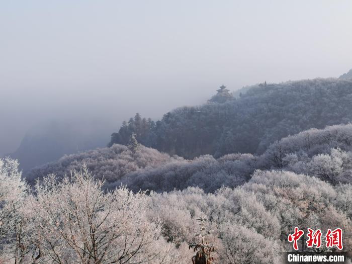 图为连绵山脉,皆是白色。 徐振华 摄 图为连绵山脉,皆是白色。 徐振华 摄