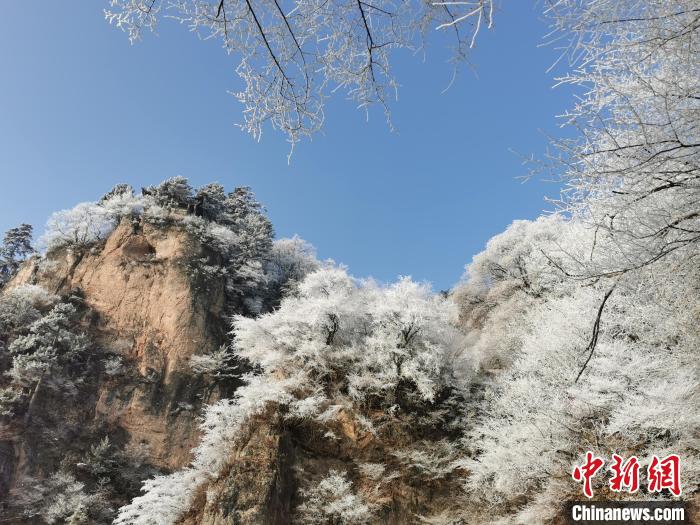 图为蓝天下雾凇笼罩山脉。 徐振华 摄 图为蓝天下雾凇笼罩山脉。 徐振华 摄