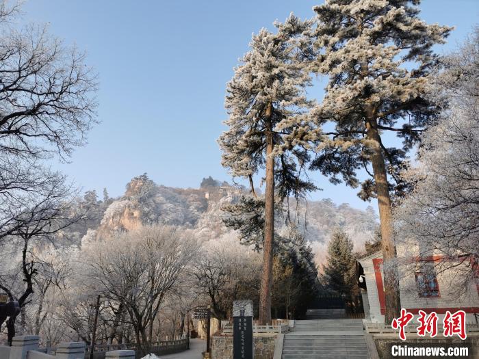 图为崆峒山雾凇景色美不胜收。 徐振华 摄 图为崆峒山雾凇景色美不胜收。 徐振华 摄