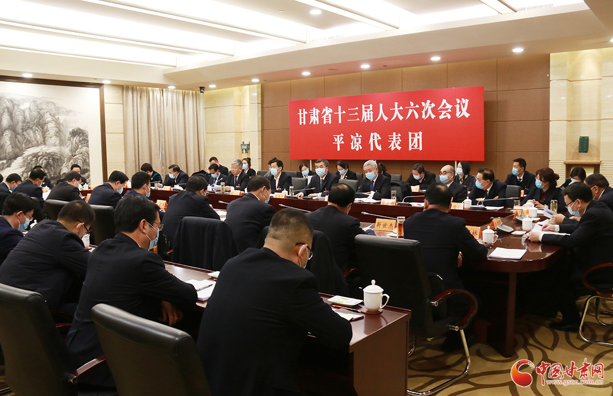 【聚焦2022甘肃两会】省十三届人大六次会议各代表团分组审议《政府工作报告》（组图）