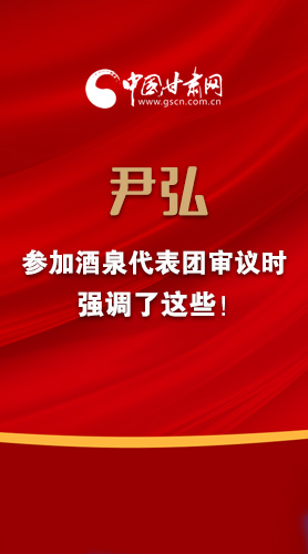 【2022甘肃两会·图解】尹弘书记参加酒泉代表团审议时强调了这些！