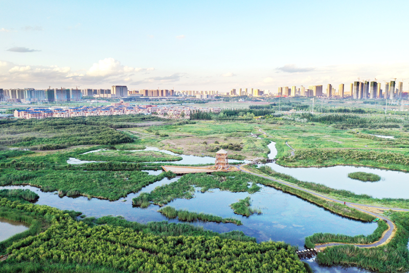 兰州大学“实习基地”落户兰州新区