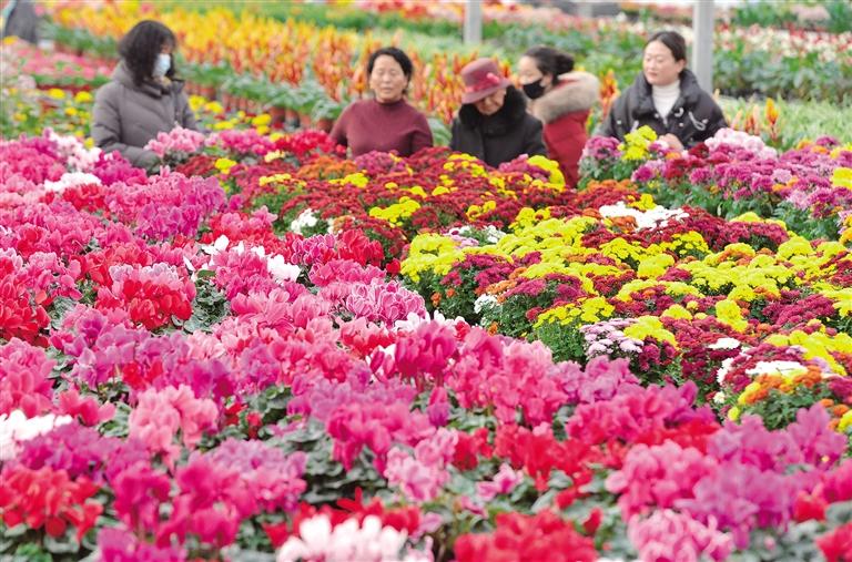 临夏州各大花卉市场鲜花产销两旺