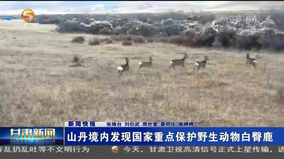 复制图片