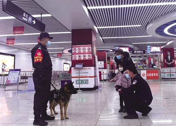 【新春走基层】警犬“梨花”和它的黎明老爸