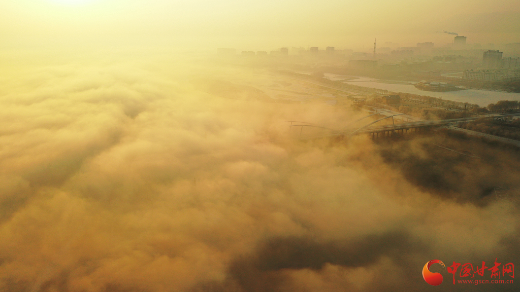 【陇拍客】甘肃高台：黑河湿地惊现云海雾凇奇观 宛如仙境