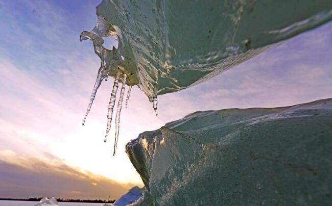 甘肃高台：黑河湿地现冰凌奇观