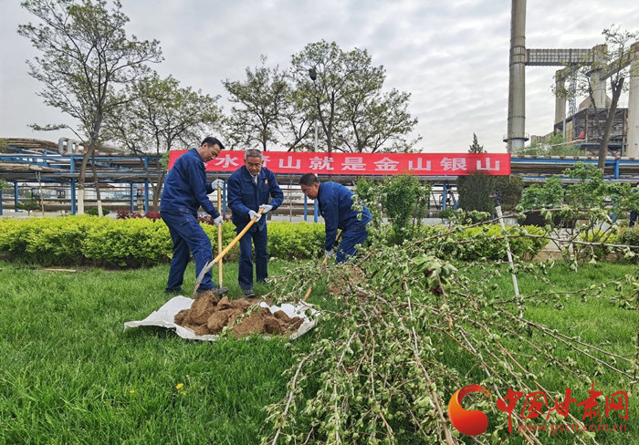 兰州市发布第1号总林长令：担负保护发展责任 实现自然资源永续利用