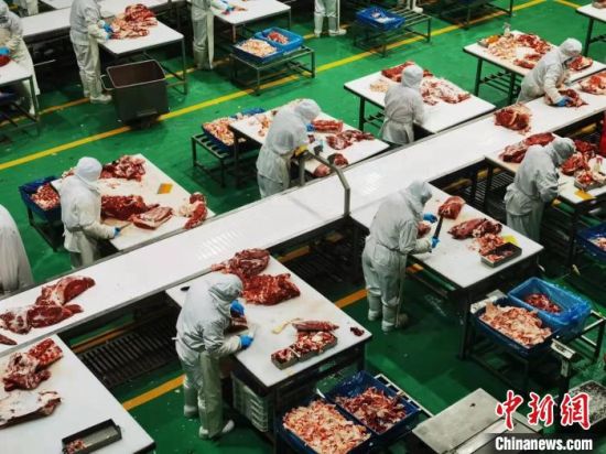 2月21日，张掖市甘州区企业员工切割牛肉。　艾庆龙 摄