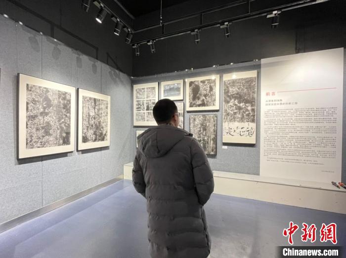 廣州藝術家么冰儒探索中國水墨畫創新 冀藝術走入生活