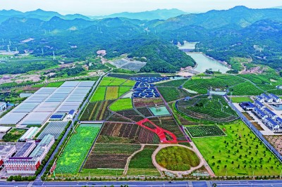 促进共同富裕首先要靠共同奋斗 促进共同富裕首先要靠共同奋斗
