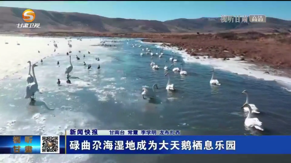 复制图片