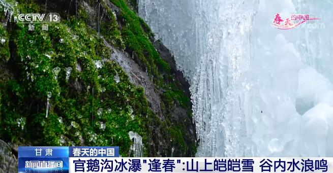 春天的中國 甘肅官鵝溝冰瀑“逢春”：山上皚皚雪 谷內水浪鳴