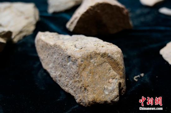 图为静宁县贾河乡窦坪村出土的石器。 夏剑锋 摄