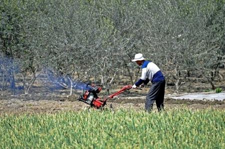 陇南武都区汉王镇罗寨村农民在耕地