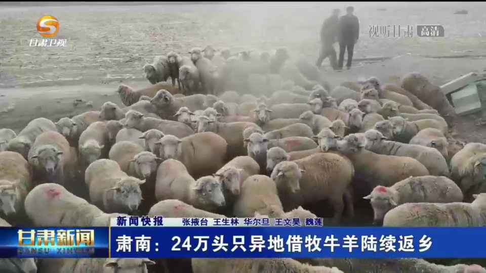 复制图片
