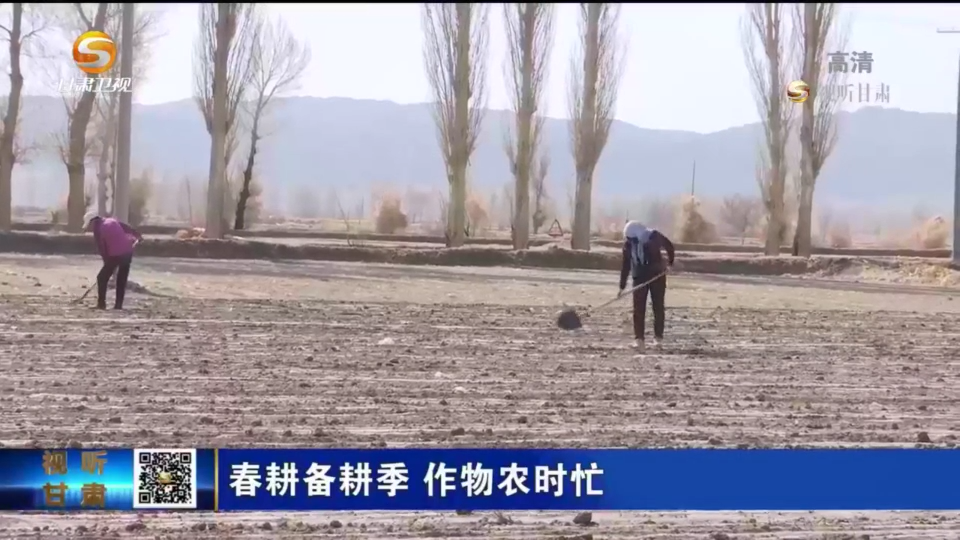 【短視頻】春耕備耕季 作物農時忙