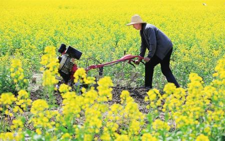 陇南武都区角弓镇农民使用旋耕机翻耕土地