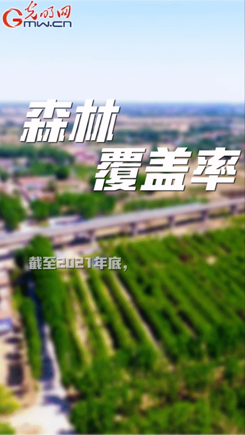 【“动”漫海报】雄安新区:五年奋进加速蝶变 未来之城欣欣向荣 【“动”漫海报】雄安新区:五年奋进加速蝶变 未来之城欣欣向荣