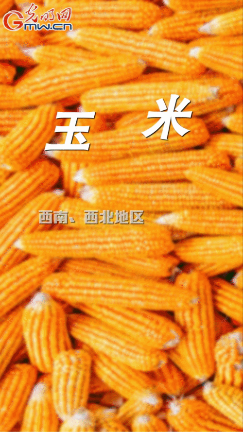 【“动”漫海报】采取有力措施 确保完成玉米水稻稳产保供目标任务 【“动”漫海报】采取有力措施 确保完成玉米水稻稳产保供目标任务
