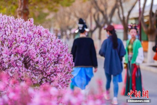 图为鸣沙山迎春花、山桃花、丁香花争相绽放，吸引游人盛装出行。 王斌银 摄