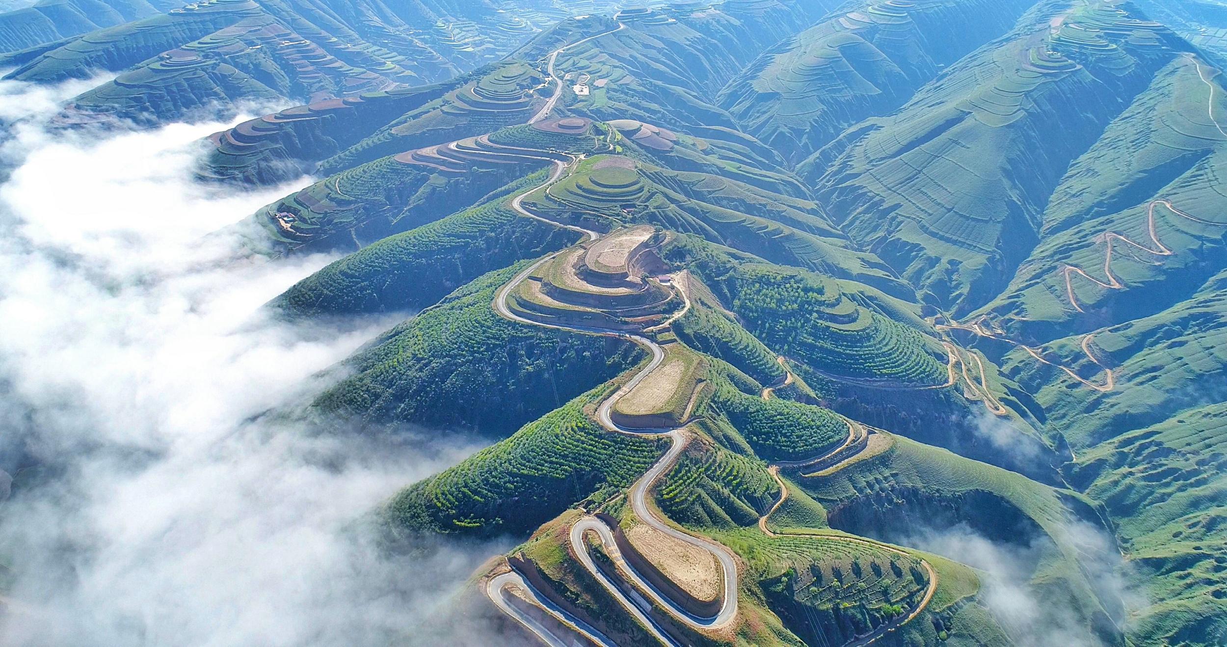 甘肃省庆阳市环县洪德镇马塬村“再造一个子午岭”工程植树造林点。王勇摄.jpg?x-oss-process=style/w10