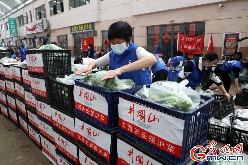 【组图】“守沪者联盟”丨江西永丰:第二批支援蔬菜即将运抵上海 【组图】“守沪者联盟”丨江西永丰:第二批支援蔬菜即将运抵上海