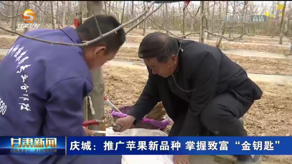 复制图片
