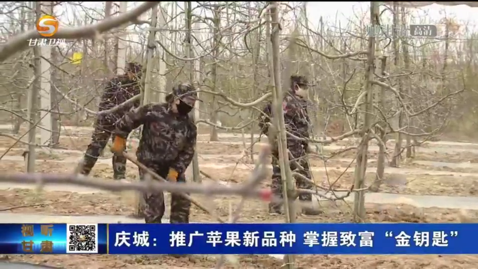 复制图片