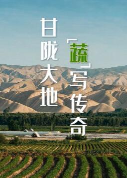 【关注】中国最低调的蔬菜大省，为什么是甘肃？