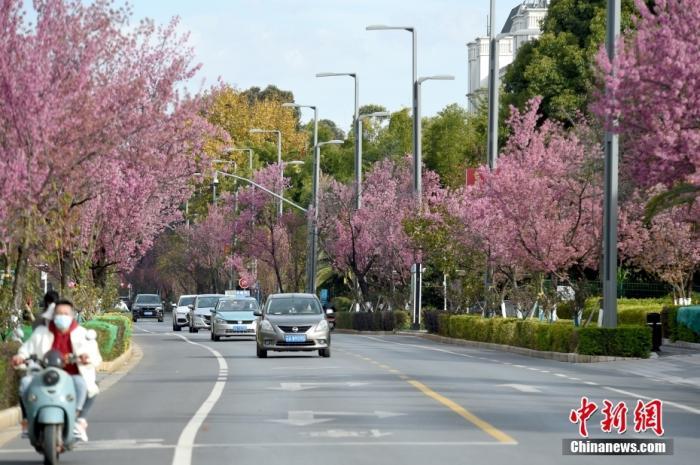 资料图：昆明街道。 中新社记者 李嘉娴 摄