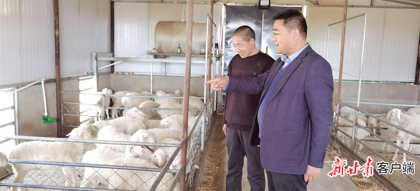 环县曲子镇西沟村党支部书记刘小兵（右）与养殖户骆治发探讨养羊事宜。