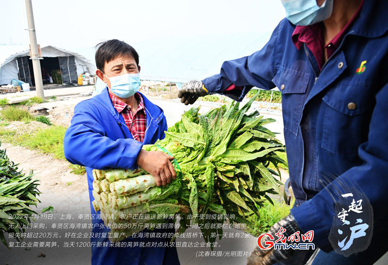 一起守“沪”|上海:企业复工复产 滞销蔬菜直接进食堂 一起守“沪”|上海:企业复工复产 滞销蔬菜直接进食堂