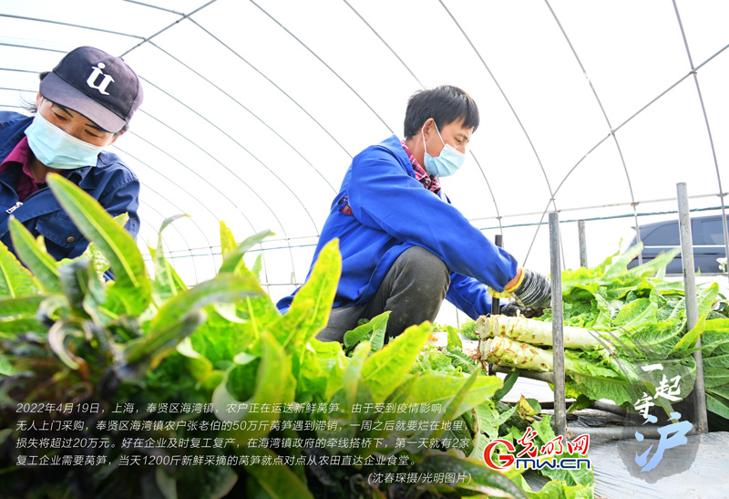 一起守“沪”|上海:企业复工复产 滞销蔬菜直接进食堂 一起守“沪”|上海:企业复工复产 滞销蔬菜直接进食堂