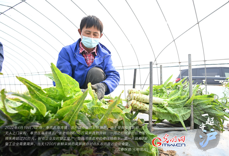 一起守“沪”|上海:企业复工复产 滞销蔬菜直接进食堂 一起守“沪”|上海:企业复工复产 滞销蔬菜直接进食堂