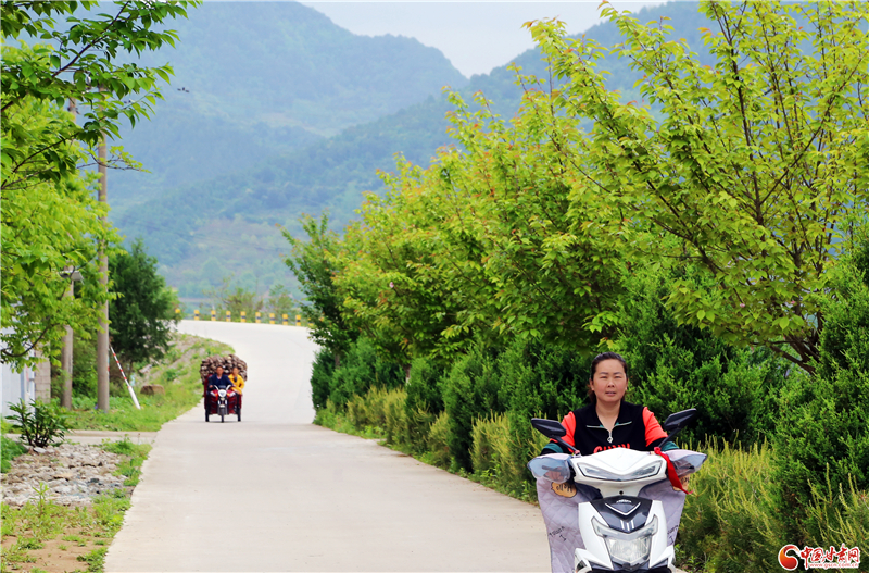 【小康路上看老乡】石红霞的小康“菌”路