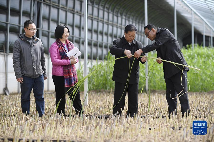 (新华全媒头条·图文互动)(6)习近平关心关怀劳动者的故事